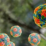 Вакцина от Гепатита А (Хаврикс, Альгавак)